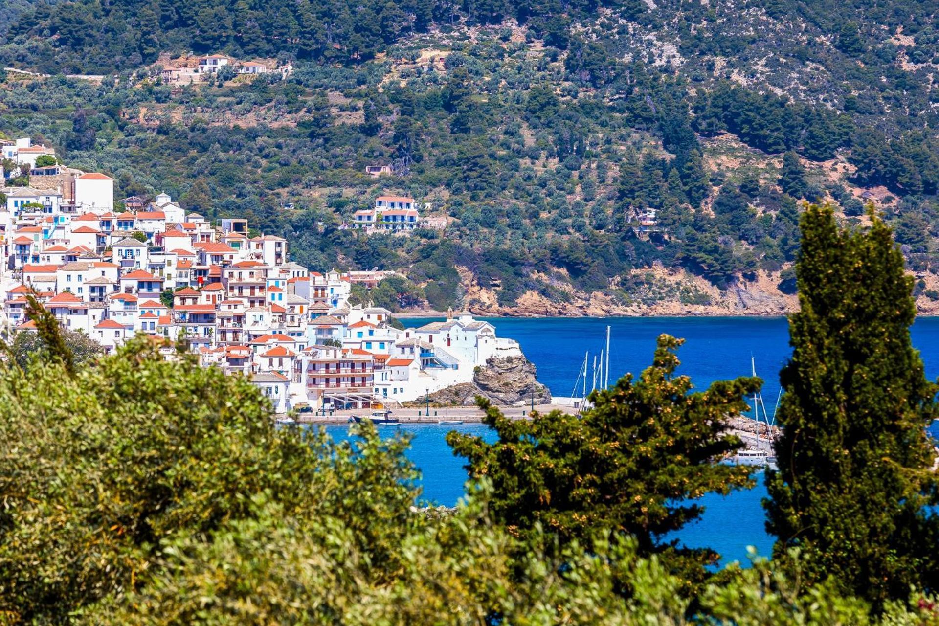 Naiades Superior Apartments In Skopelos With Sea View Close To The Town المظهر الخارجي الصورة